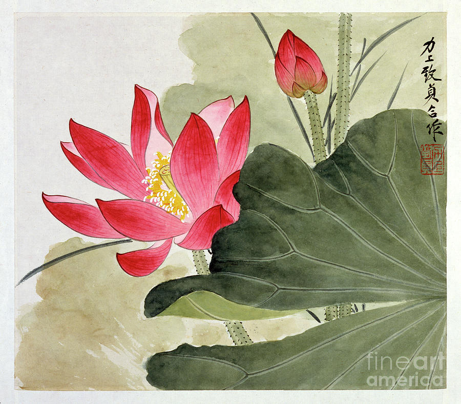 絵画 Ruby-red Flowers Ruby Red Lotus Flower by Yu Zhizhen