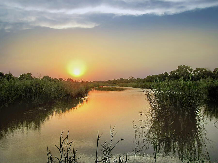 Sabi Sands River Photograph by Rebecca Herranen
