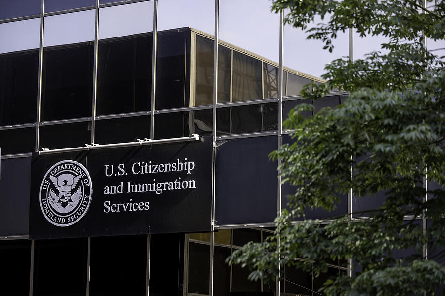 San Diego Immigration Services Photograph by JasonDoiy