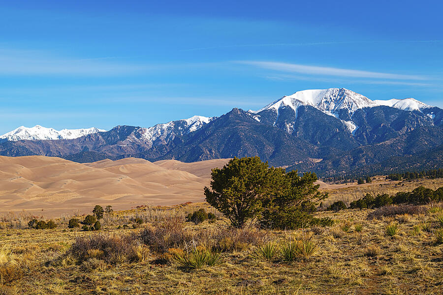 Sand Dunes Photograph by Jon Snyder