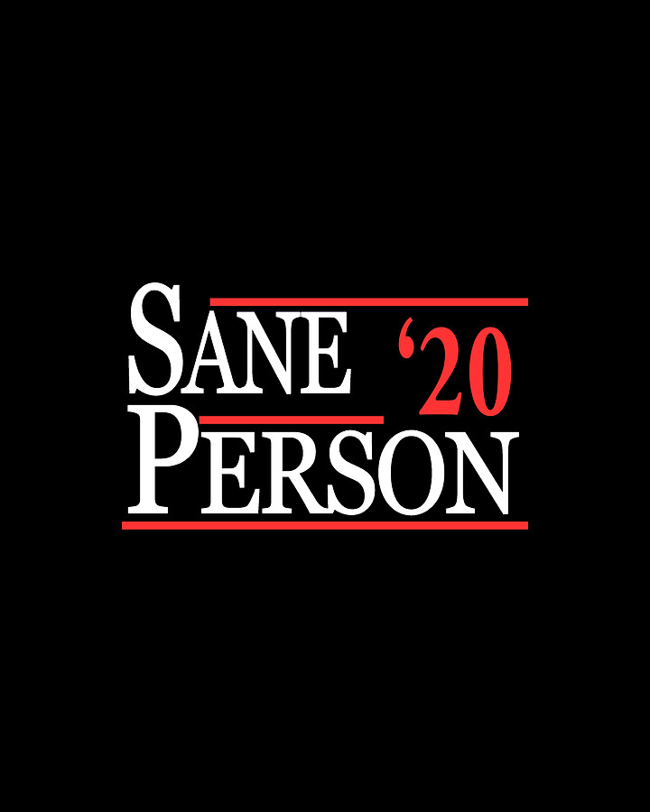 Sane Person 2020 Digital Art by Flippin Sweet Gear