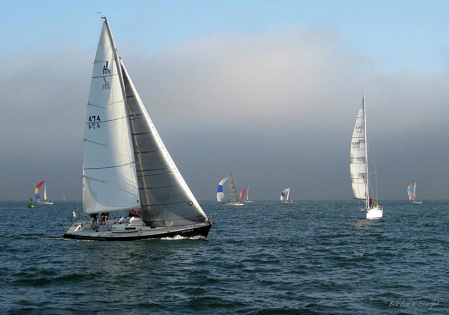 Santa Barbara Sailing Photograph by Barbara Siegel