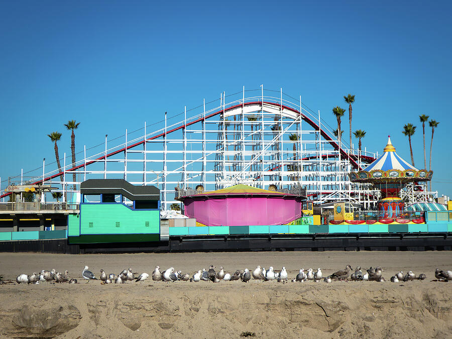 Santa Cruz Boardwalk Amusement Park and Seagulls Photograph by Mary Lee Dereske