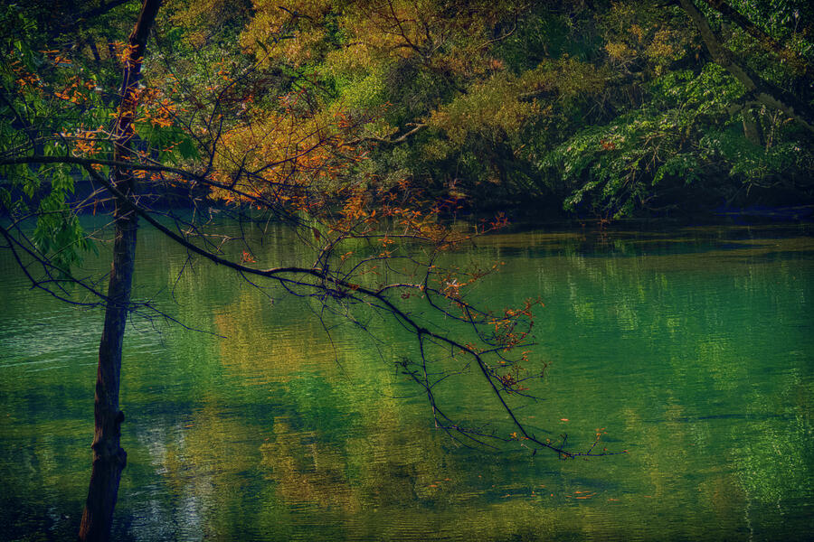 Scene-103-3b Photograph by Sally Fuller