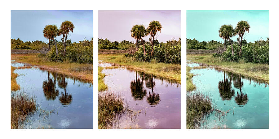 Scene 53 H-i-l Photograph by Sally Fuller