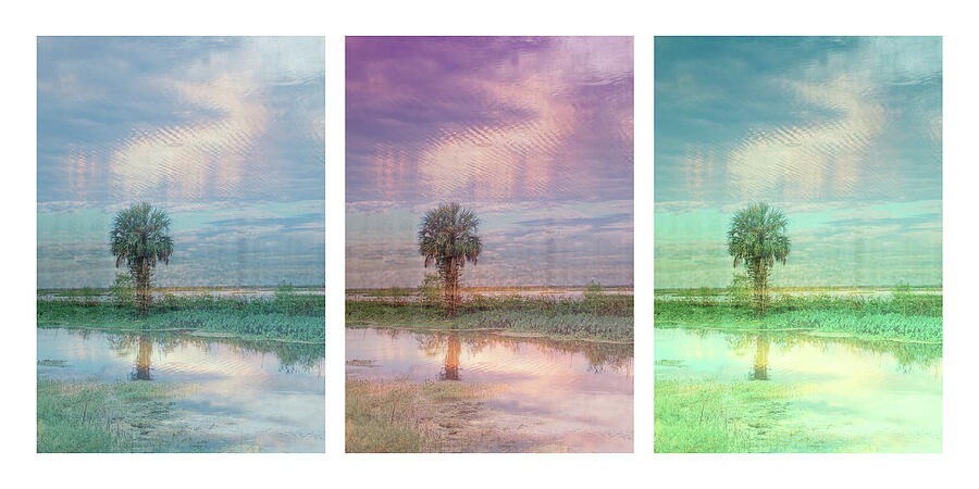 SCENE 79 from 79 C-D-E Photograph by Sally Fuller