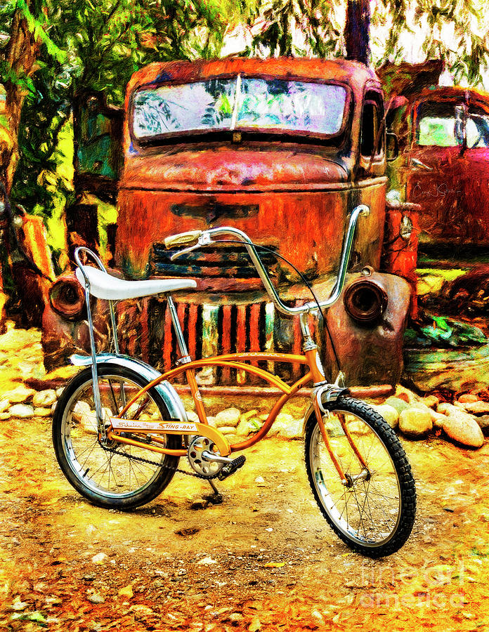 schwinn-coppertone-deluxe-