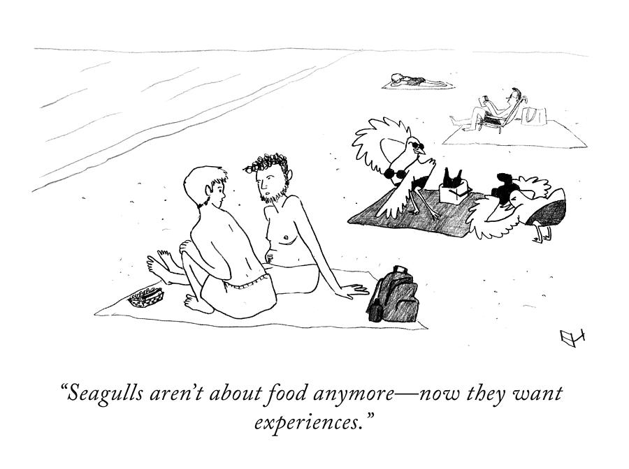 Seagulls Seeking Experiences at the Beach Drawing - Seagulls Arent About Food by Emma Hunsinger