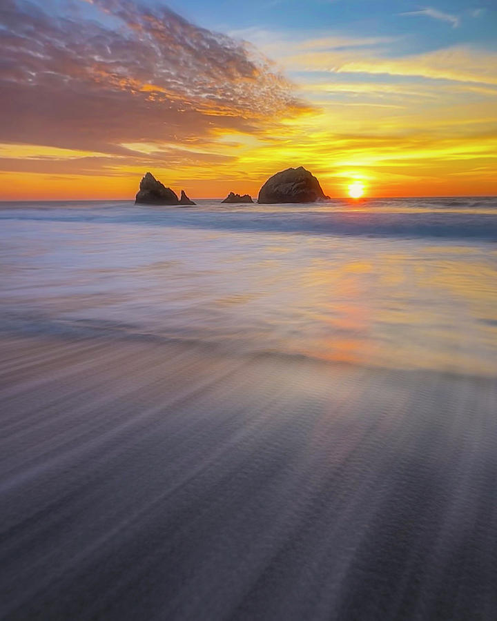 Seal Rock Photograph by Louis Raphael