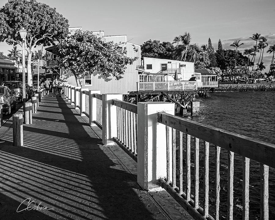 Seawall Walk Photograph by Charlie Osborn