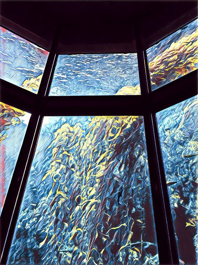 Seaweed in the Sea Photograph by Juliette Becker