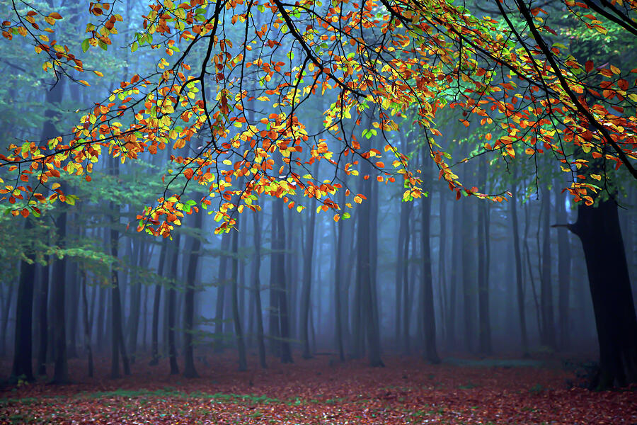 Seconds Before The Light Went Out by Roeselien Raimond