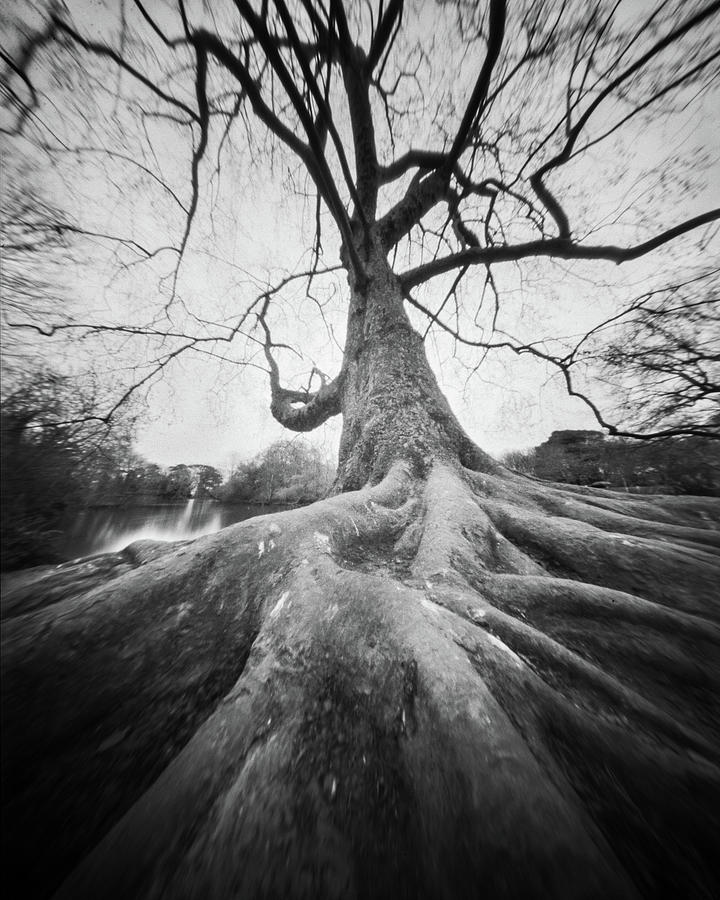 Secured Photograph by Will Gudgeon