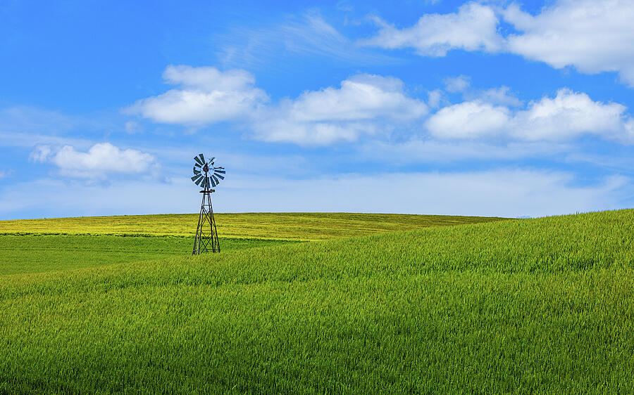 Windmill on Rolling Green Hills Photograph - Sentinel of the Fields by Kevin Schwalbe