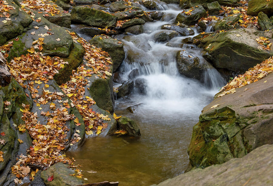 Serene Autumn Waterfall Photograph - Serene Cascade at Smokey Hollow 1 by John Twynam