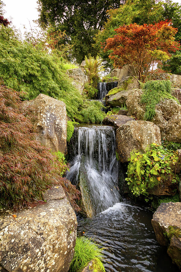 Serene Garden Waterfall Scene Photograph by Shirley Mitchell