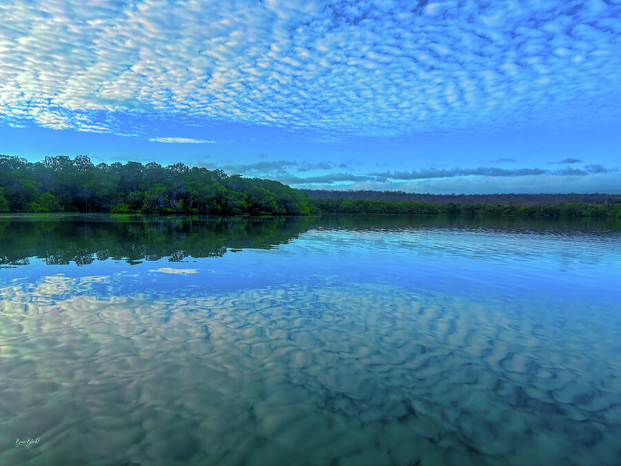 Serene Lake Under Patterned Sky Photograph - Serene Mangroves Under Patterned Sky by Bruce Block