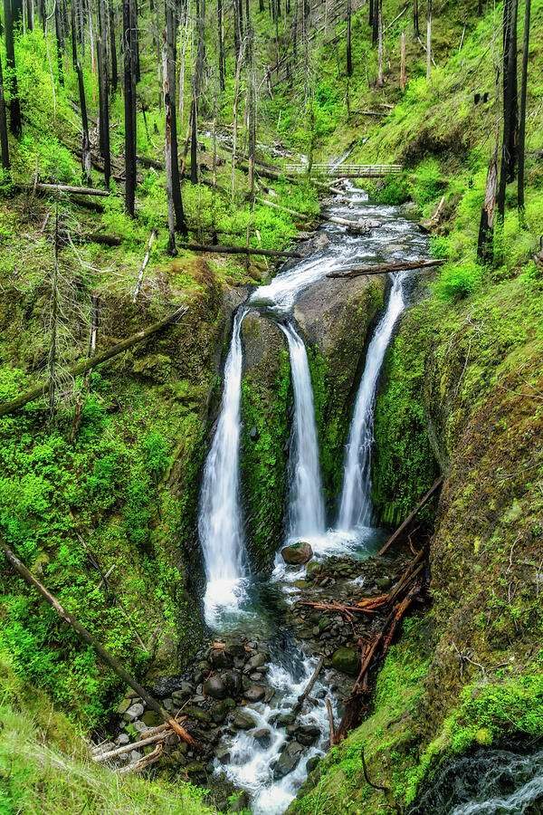 Serene Forest Waterfall Scene Photograph - Serene Triple Falls Waterfall Scene by Bruce Block