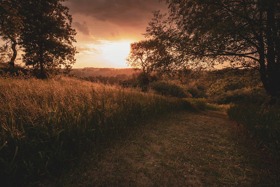Shady Sunset Photograph by Jason Fink