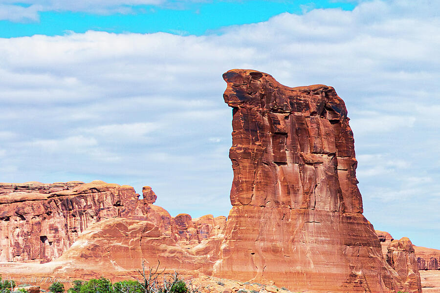 Sheep Rock Photograph by Michael DeGrenier