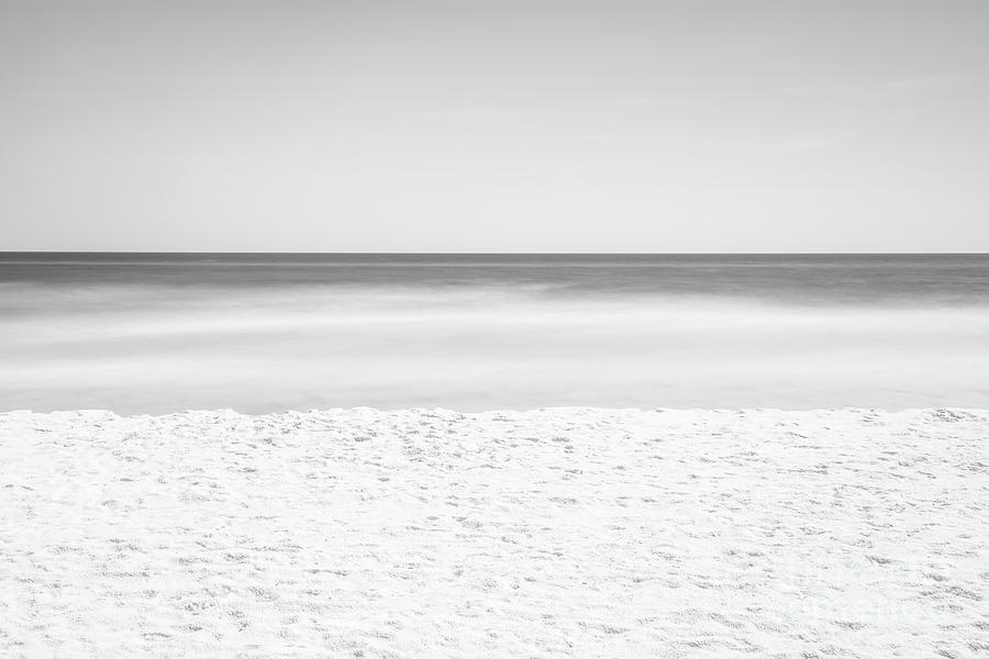 Shell Island Beach Florida Black and White Photo Photograph by Paul Velgos
