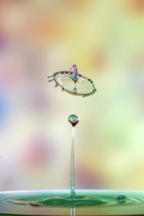 Shelter 1 Photograph by Sue Leonard