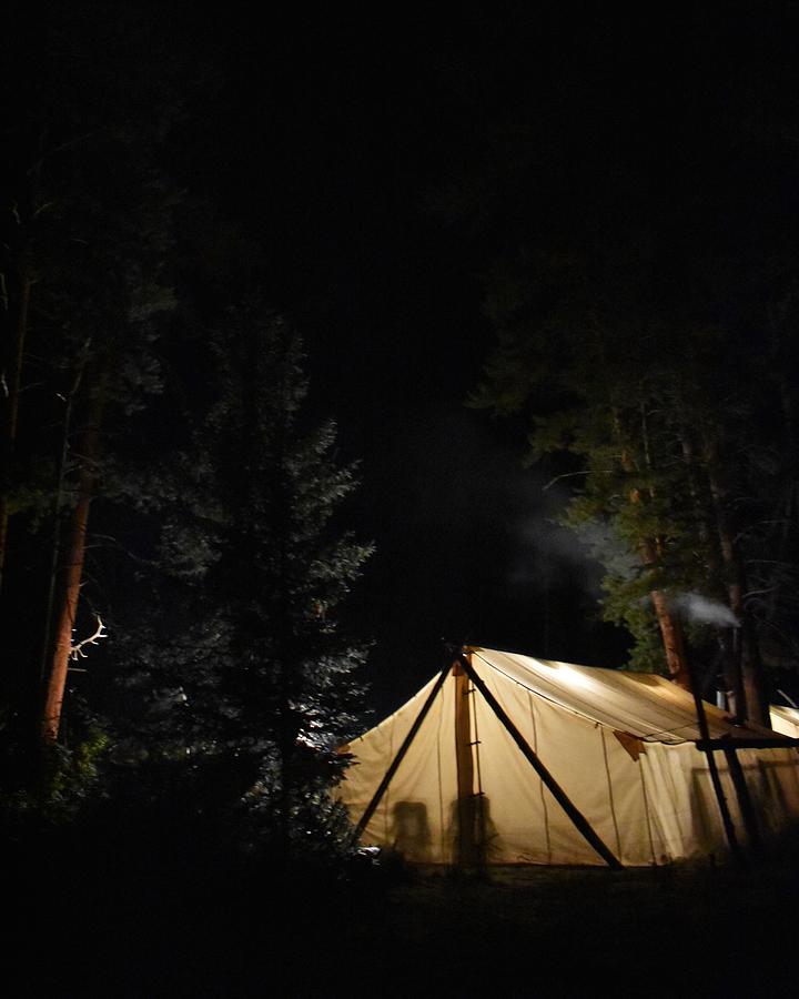 Shelter in the Storm Photograph by Alden White Ballard