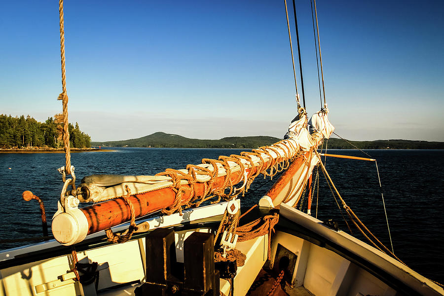 Ship Shape Sail Photograph by Craig A Walker