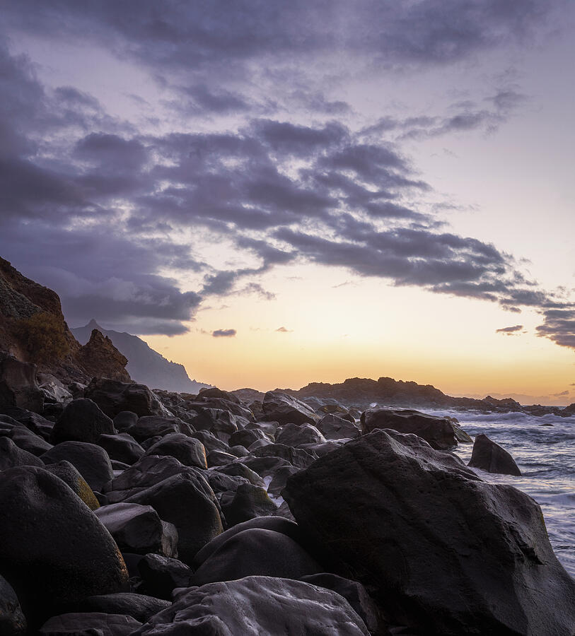 Shoreline in Golden Glow Photograph by Charnwood Photography Fine Art