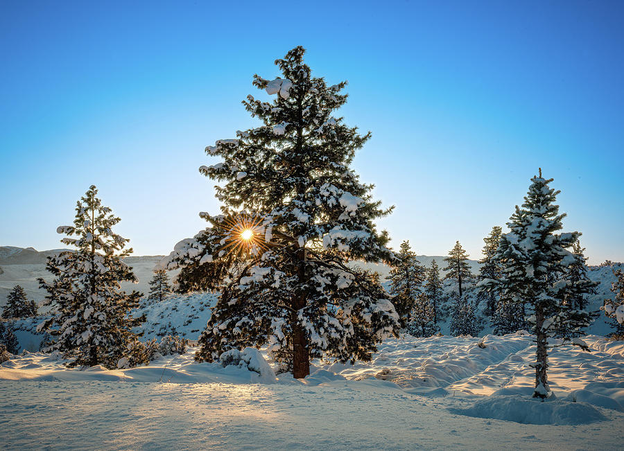 Sierra Nevada Winter Sunrise Photograph by Ron Long Ltd Photography