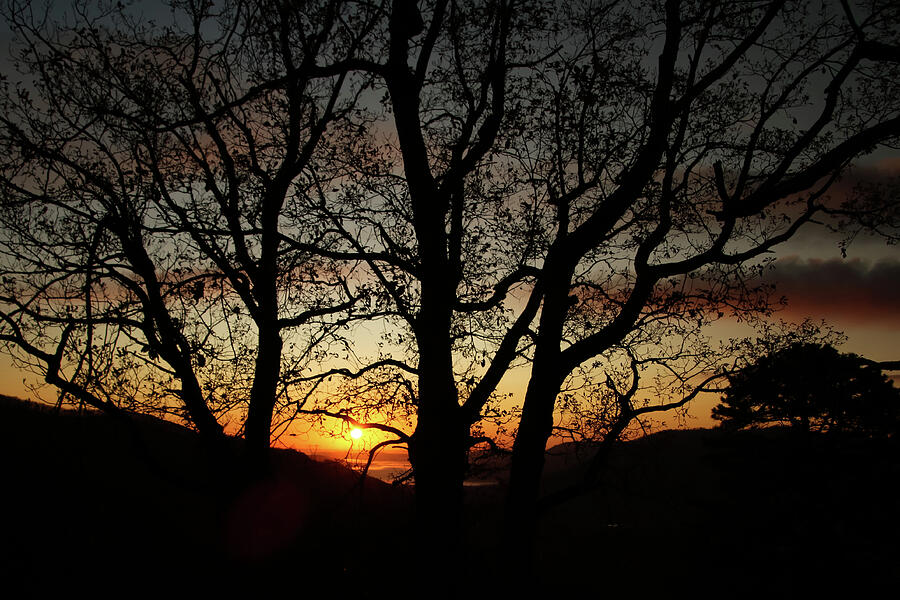 Silhouettes at Sunrise Photograph by Deb Beausoleil