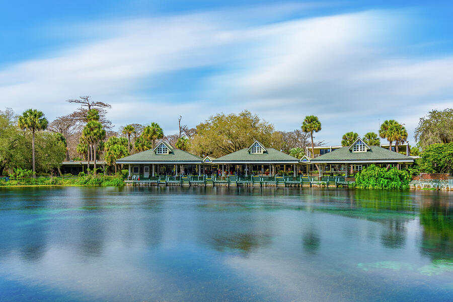 Silver Springs Reflections Photograph by Michael Warren