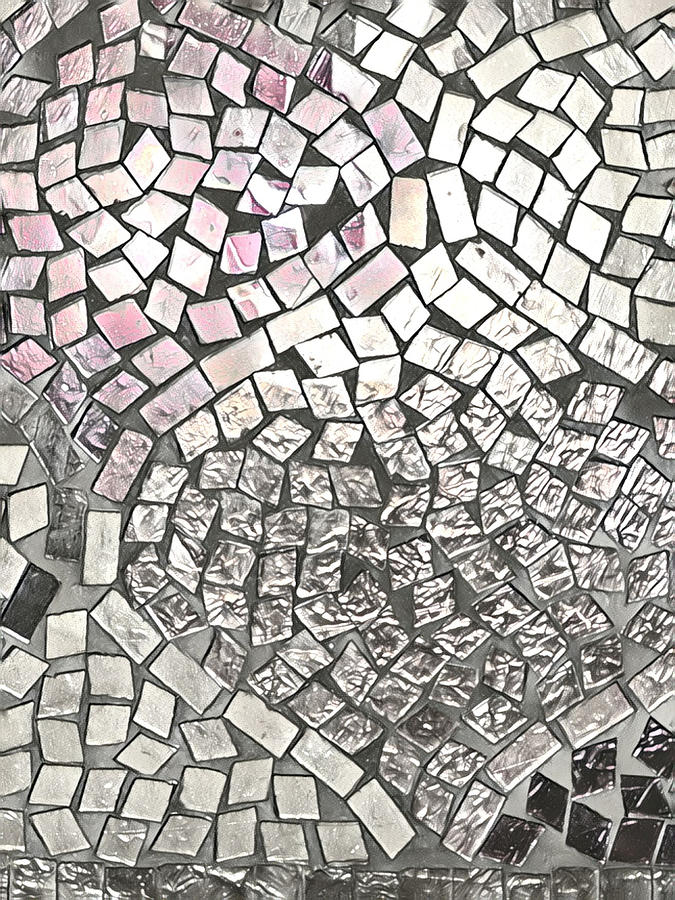 Silver Tones Photograph by Juliette Becker