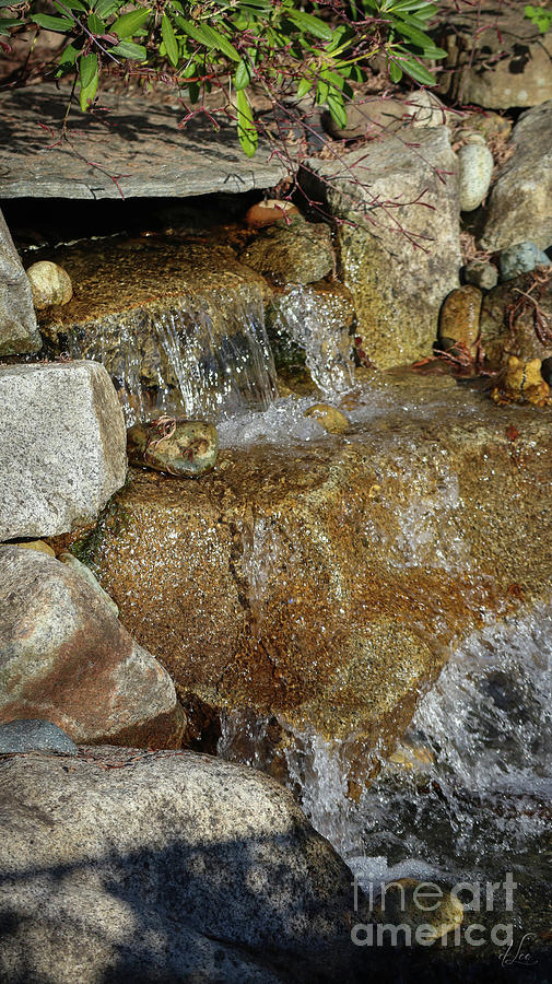 Simple Flow Photograph by D Lee