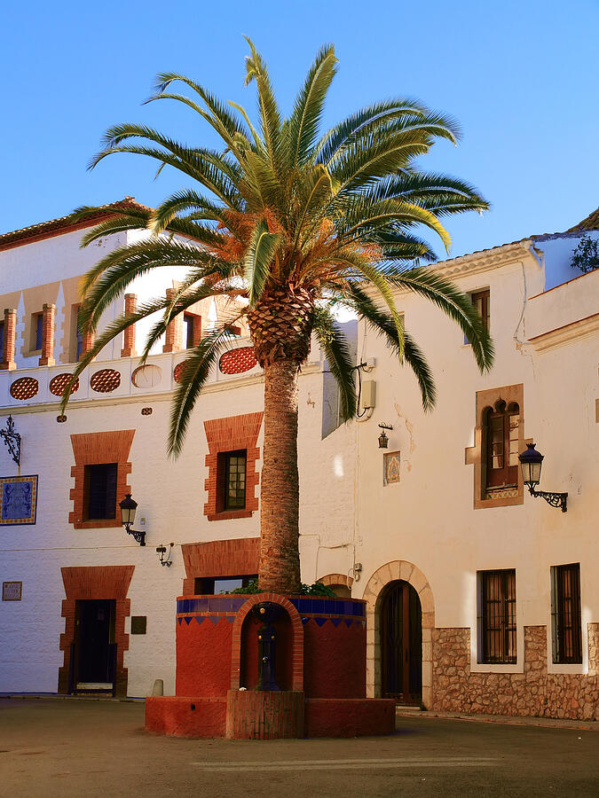 Palm Tree in a Sunlit Courtyard Photograph - Sitges Spain Casa Rectoral Print Historic Gothic Architecture Color Fine Art Photography by Travel Essayist