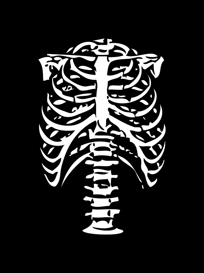 Skeleton Ribs Bones Digital Art by Flippin Sweet Gear