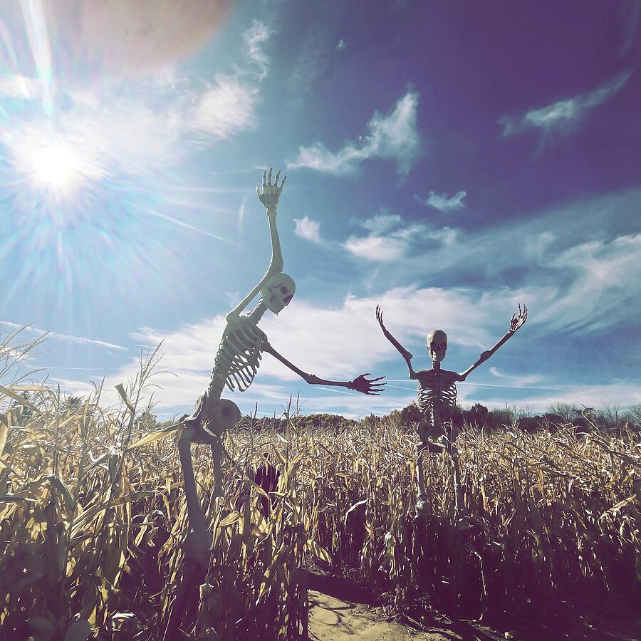 Skeletons of the Corn Photograph by Onedayoneimage Photography