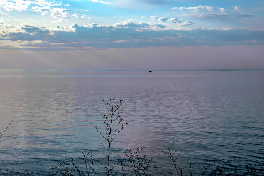 Sky Blue Pink Photograph by Vi Ray