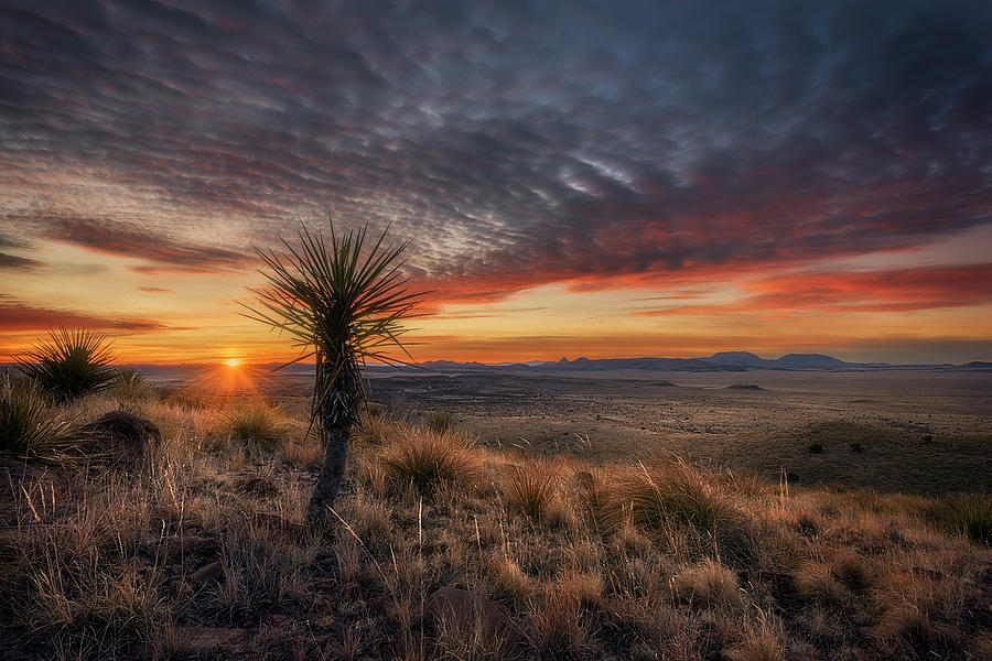 Skyline Sunrise Photograph by Slow Fuse Photography
