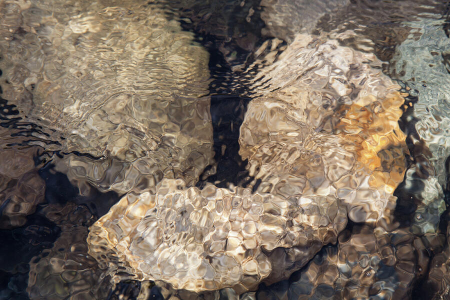 Sleeping Beauties Water Abstract Photograph by Omaste Witkowski