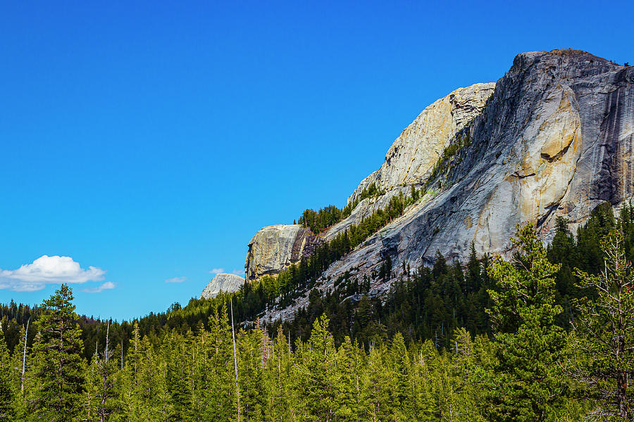 Sloping Peak of Yosemite Photograph by David Fountain