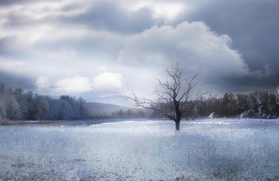 Smoky Mountains White Winter Photograph by Theresa D Williams Smoky Mountains