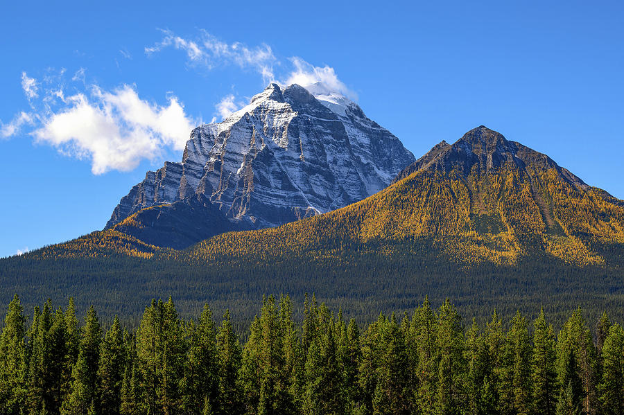 Snow-capped Mount Temple from Bow Valley Pkwy in Banff National Park, Canada Photograph by Miroslav Liska
