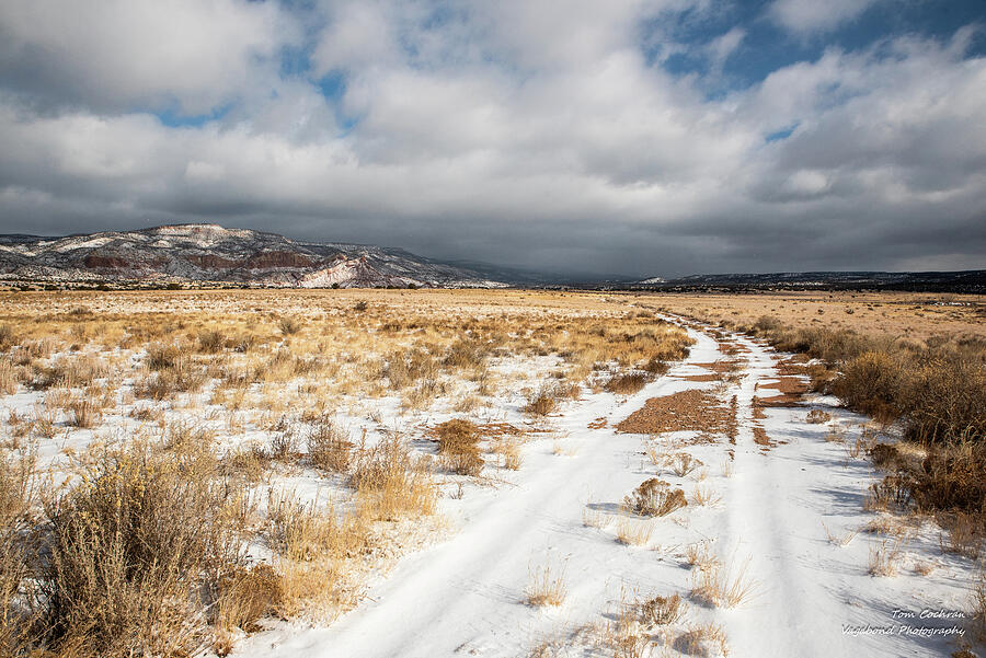 Remote Snowy Path in Desert Landscape Photograph - Snow Dusted Ranch Road in New Mexico by Tom Cochran