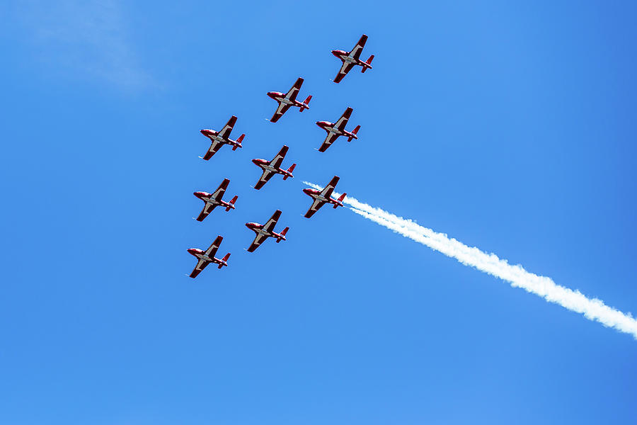 Snowbirds Photograph by Linda Ryma