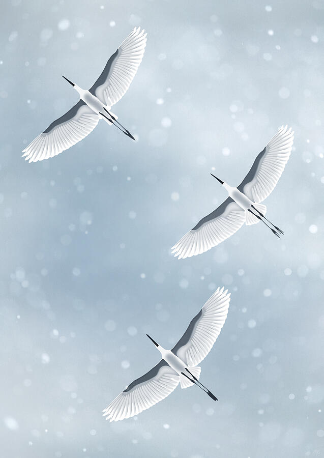 Majestic Cranes in Snowfall Digital Art - Snowfall by Moira Risen