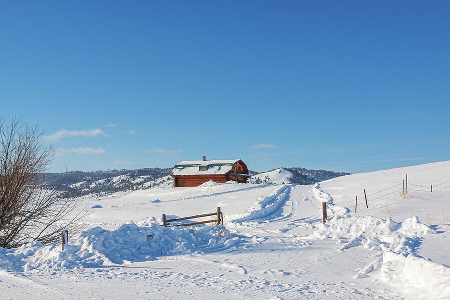 Snowy Cabin in Winter Landscape Photograph - Snowy Cabin in Winter Landscape by Tatiana Travelways