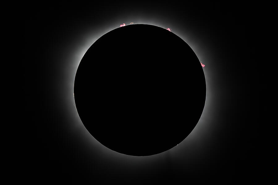 Solar Prominence Ring 6222 Photograph by Rick Perkins