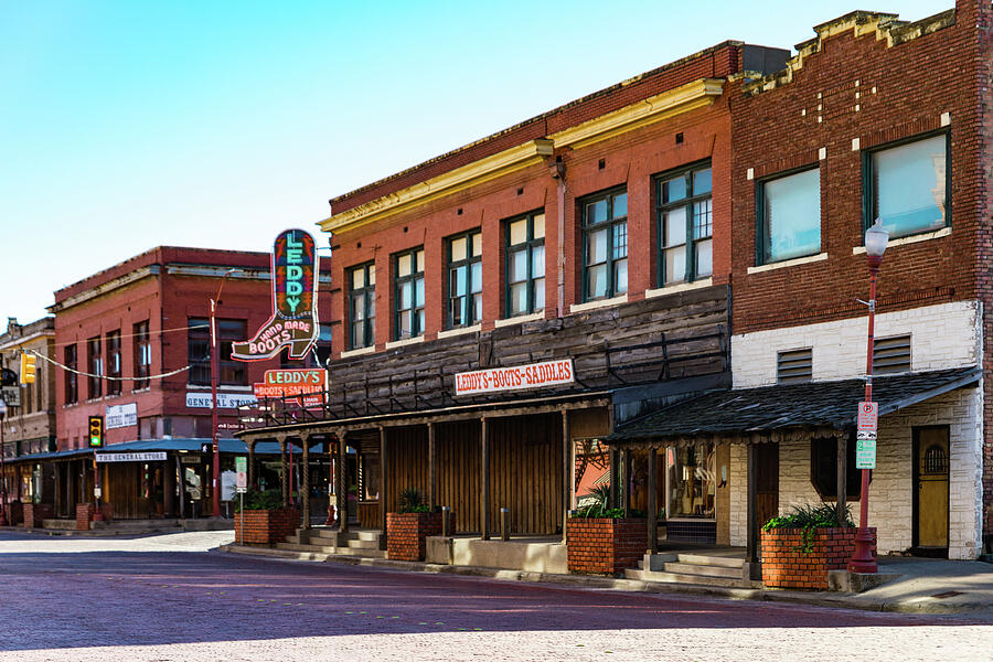 Sole of Wit Photograph by KC Hulsman