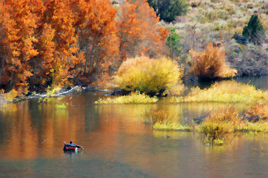 Solitude Photograph by Barbara Siegel